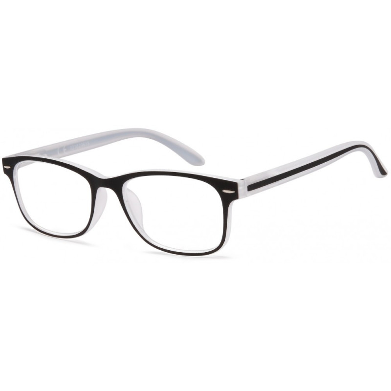 Reading glasses NV3015 C1