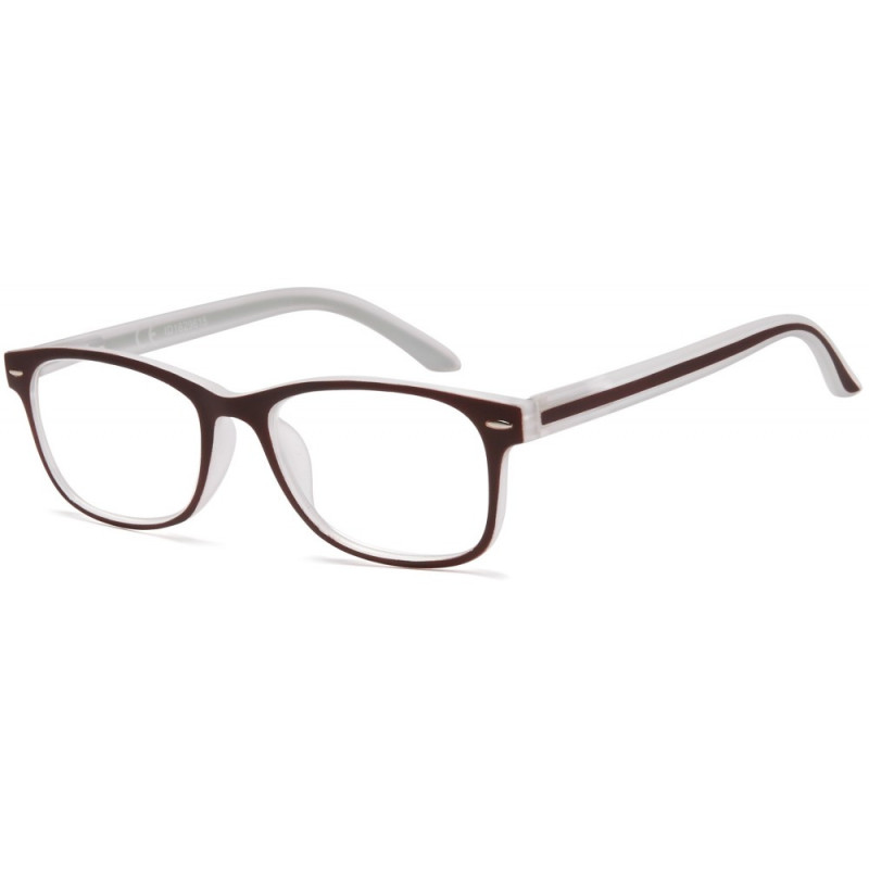 Reading glasses NV3015 C6