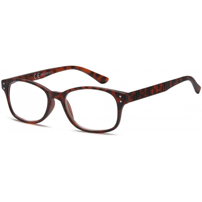 Reading glasses NV3060 C2