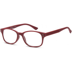 Reading glasses NV3060 C5