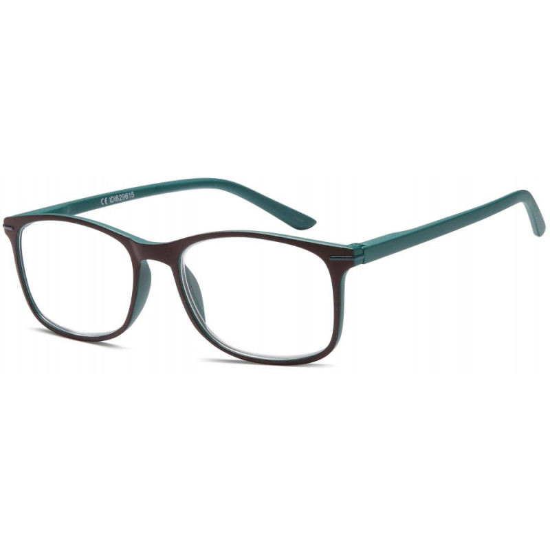 Reading glasses NV3305 C5
