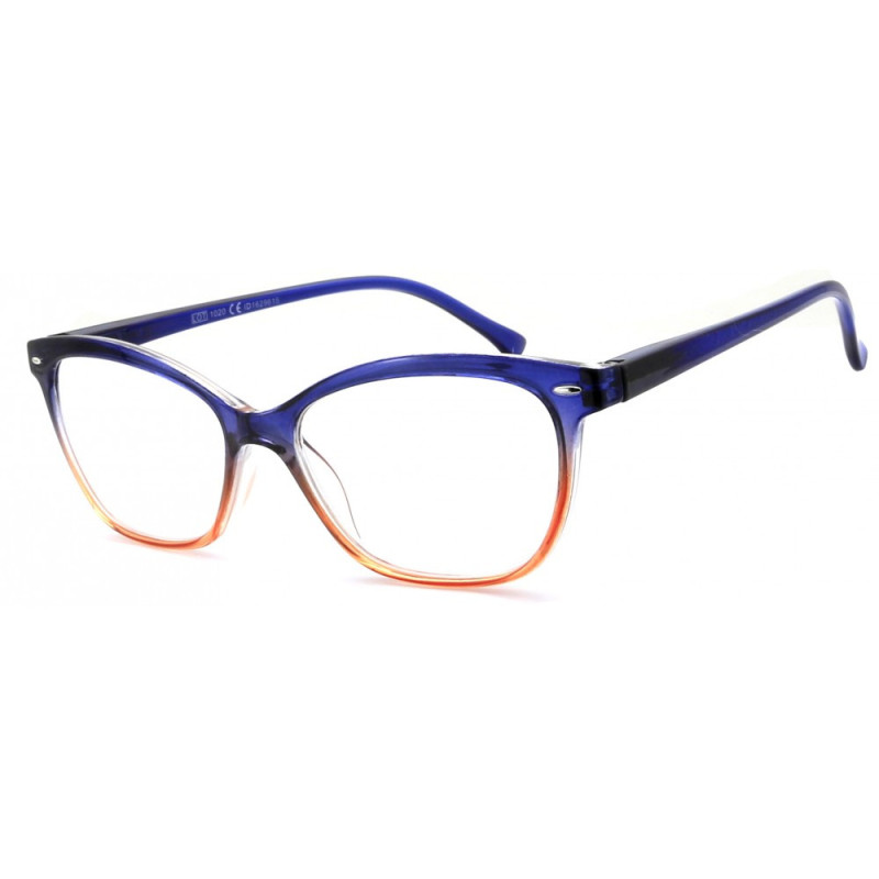 Reading glasses NV6336 C3