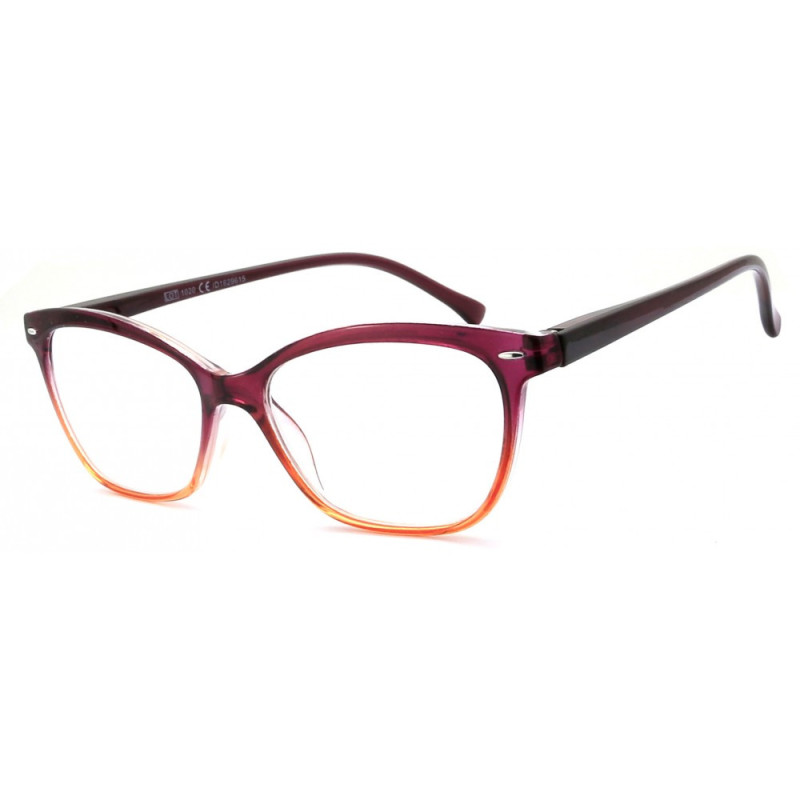 Reading glasses NV6336 C4