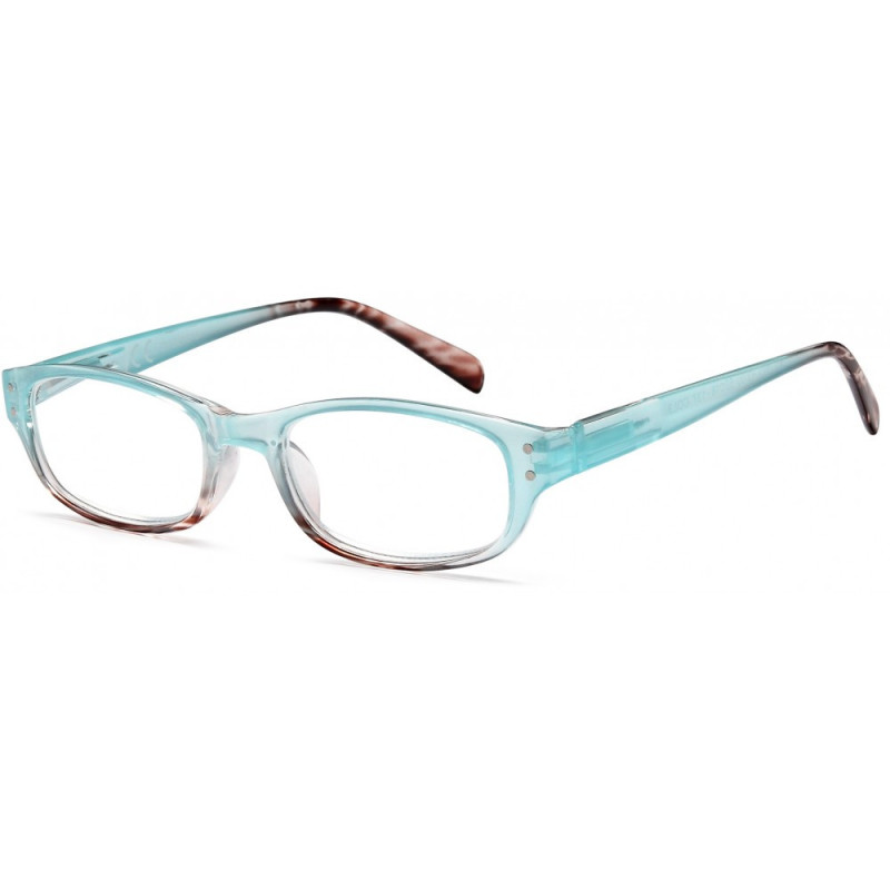 Reading glasses NV1593 C3